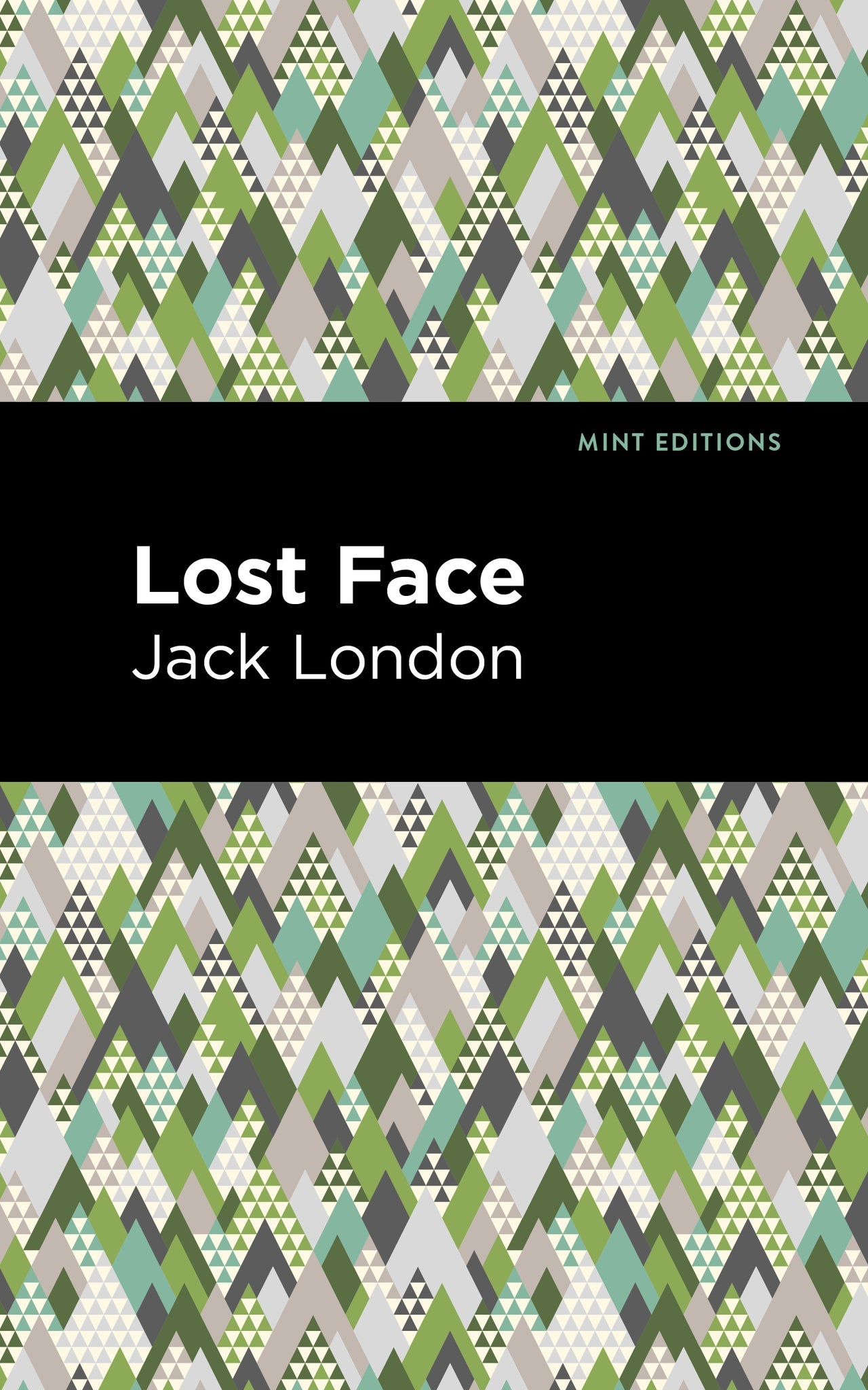 Cover image for Lost Face ISBN 9781513206523
